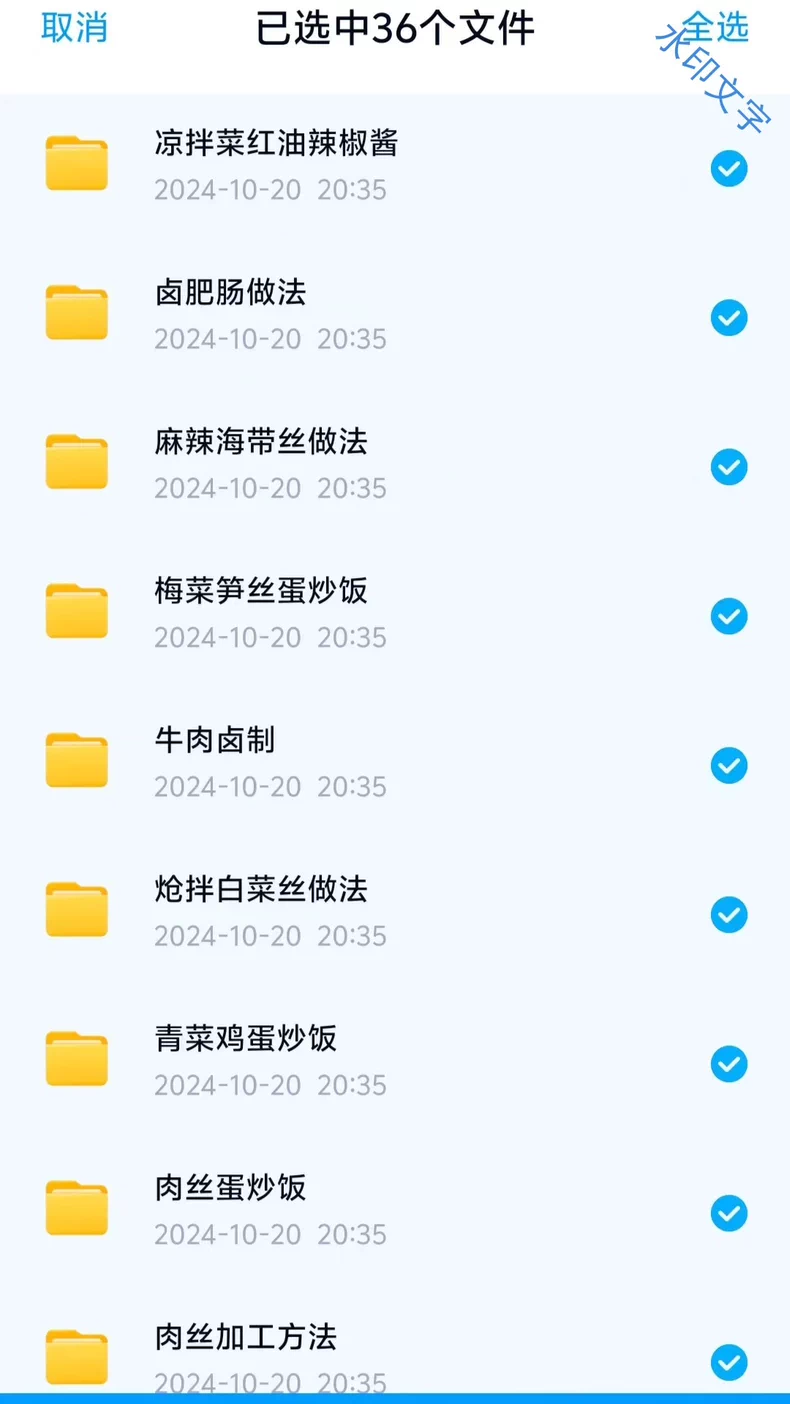 网红港城阿东铁板炒饭炒面配方