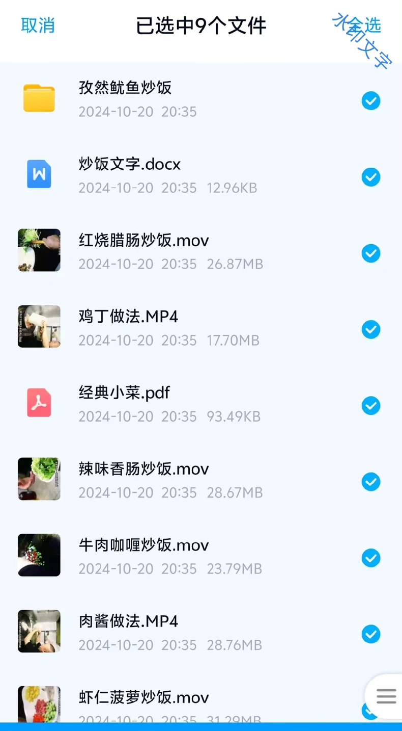 网红港城阿东铁板炒饭炒面配方