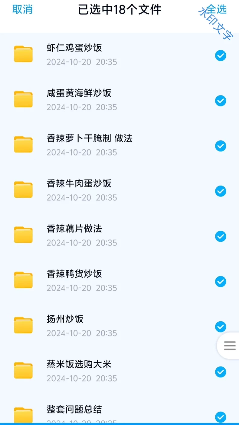 网红港城阿东铁板炒饭炒面配方