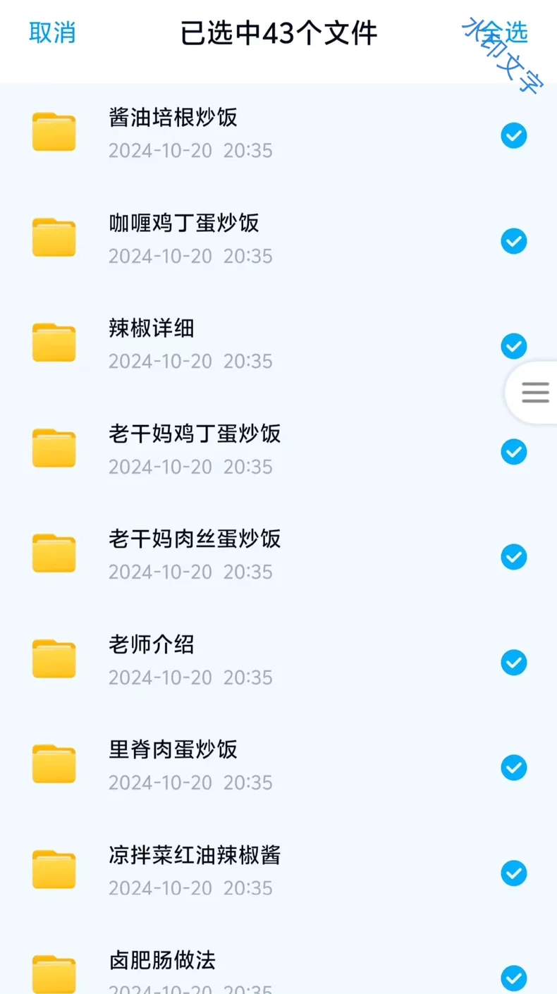 网红港城阿东铁板炒饭炒面配方