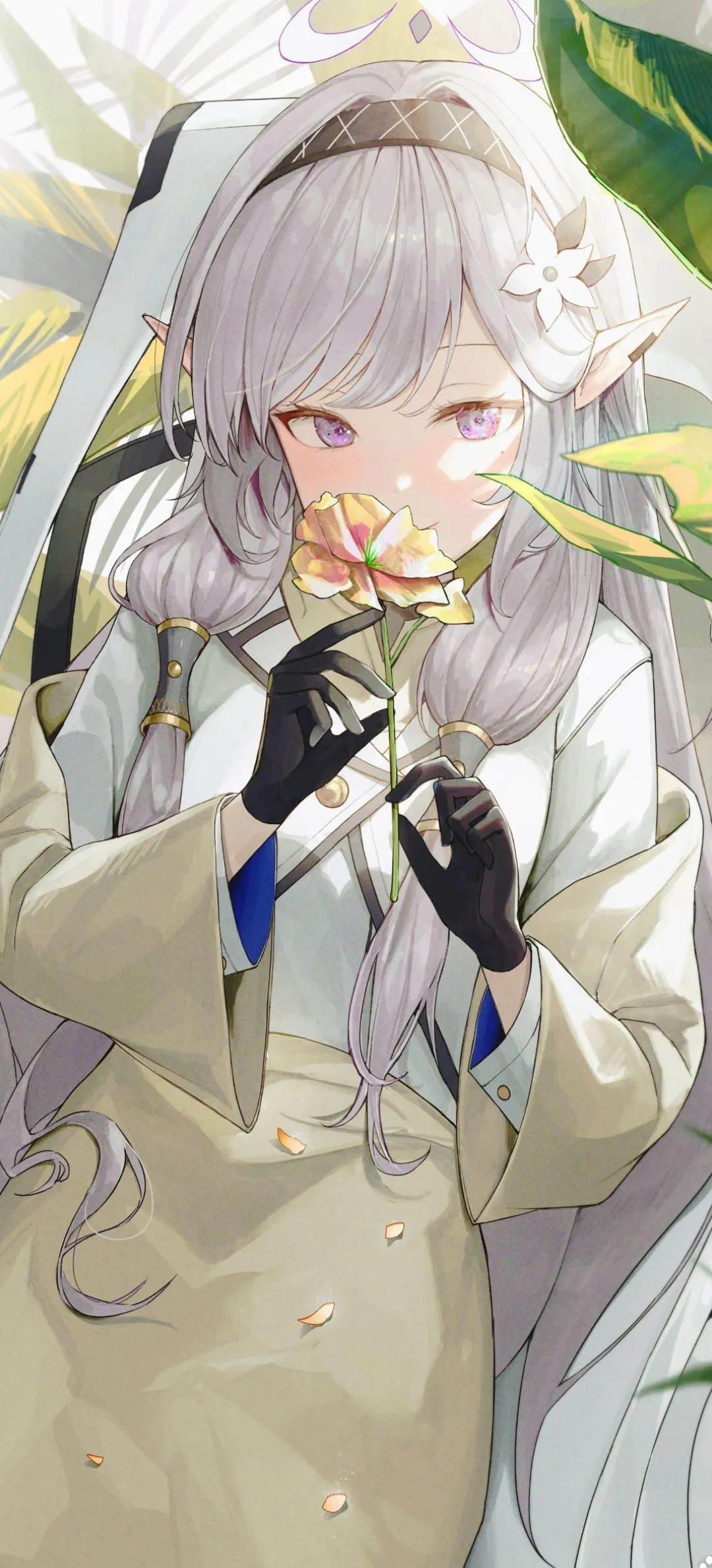 动漫壁纸 | 花影漫过窗，时光轻轻晃成糖