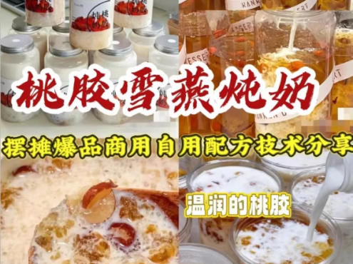 爆品桃胶雪燕炖奶技术教程详细视频配方